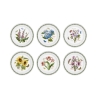 Ensemble de 6 assiettes en porcelaine 25 cm Portmeirion Botanic Garden Promotion