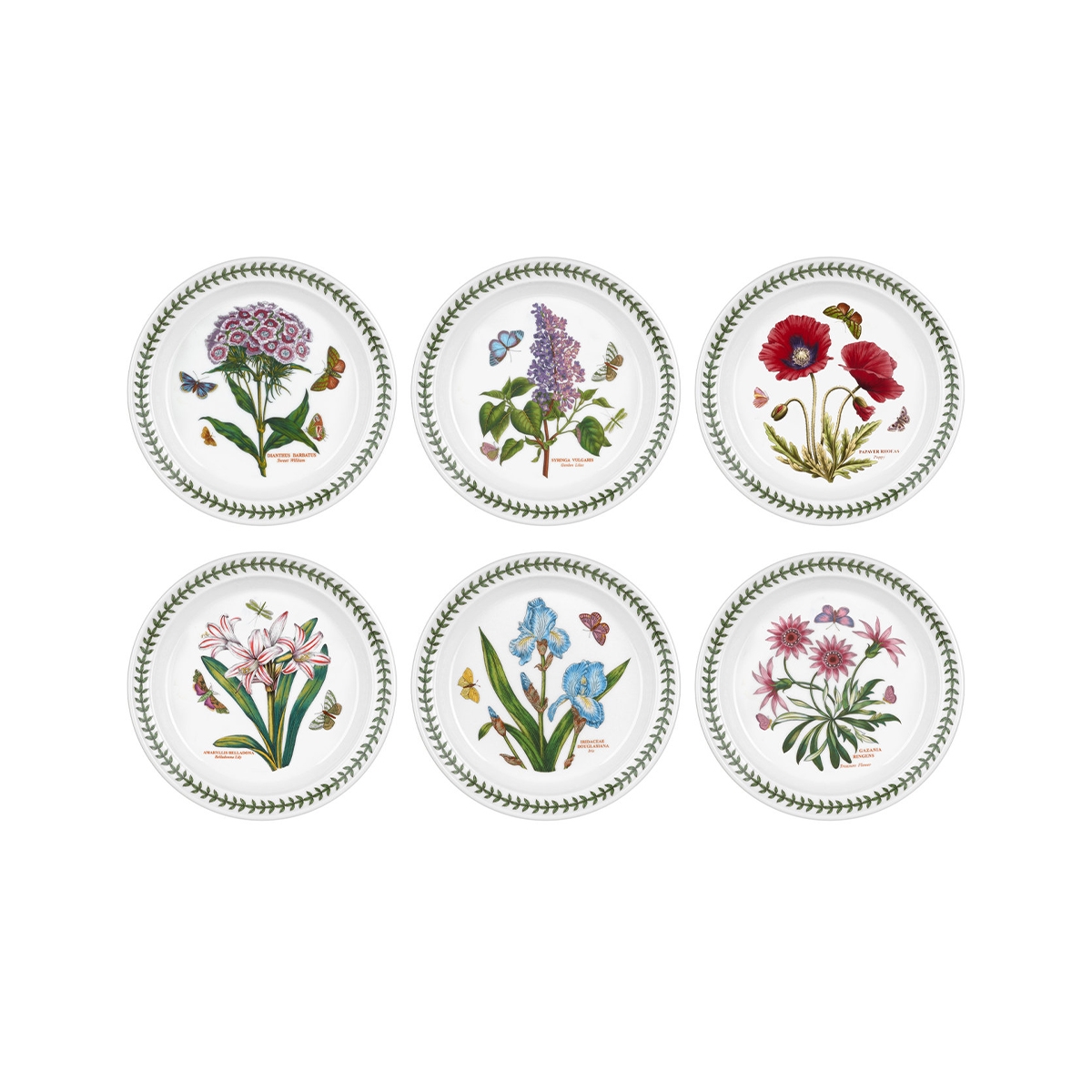 Lot de 6 assiettes plates 20 cm en porcelaine Portmeirion Botanic Garden Promotion Lot de 6 assiettes plates 20 cm en porcelaine Portmeirion Botanic Garden Promotion