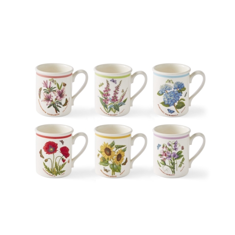 Ensemble de 6 tasses à petit déjeuner 260 ml Portmeirion Botanic Garden Meadow Promotion