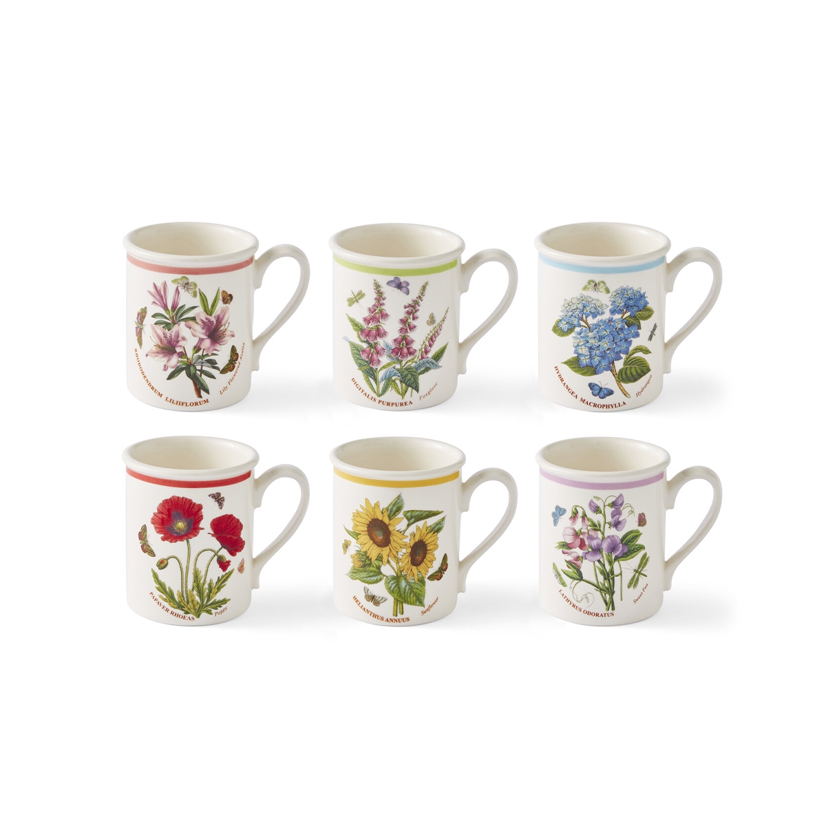Set van 6 ontbijtkoppen 260 ml Portmeirion Botanic Garden Meadow Aanbieding Set van 6 ontbijtkoppen 260 ml Portmeirion Botanic Garden Meadow Aanbieding
