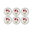 Set van 6 platte borden 26,7 cm in porselein Portmeirion Botanic Garden Aanbieding
