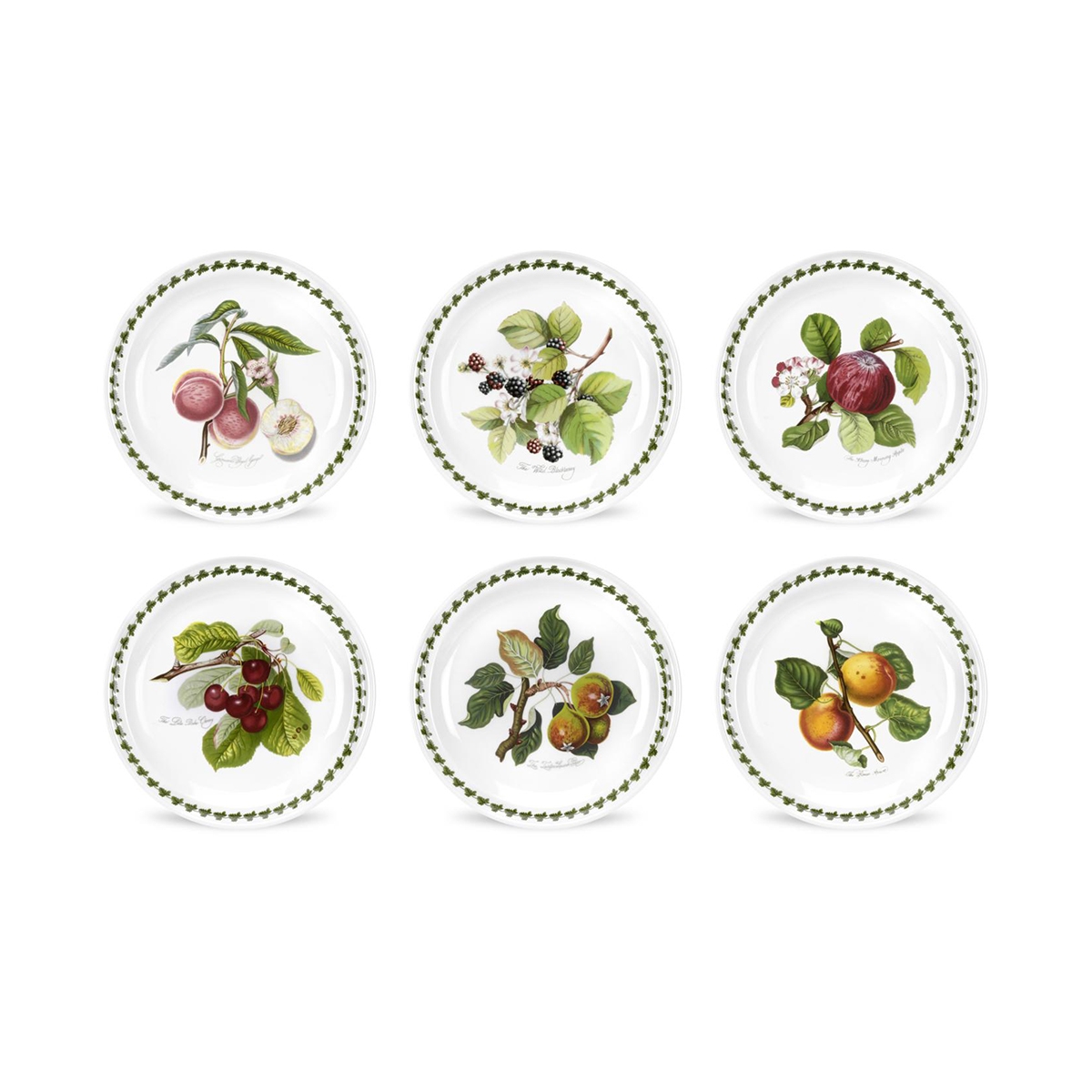 Ensemble de 6 assiettes plates en porcelaine 20 cm Portmeirion Pomona Promotion