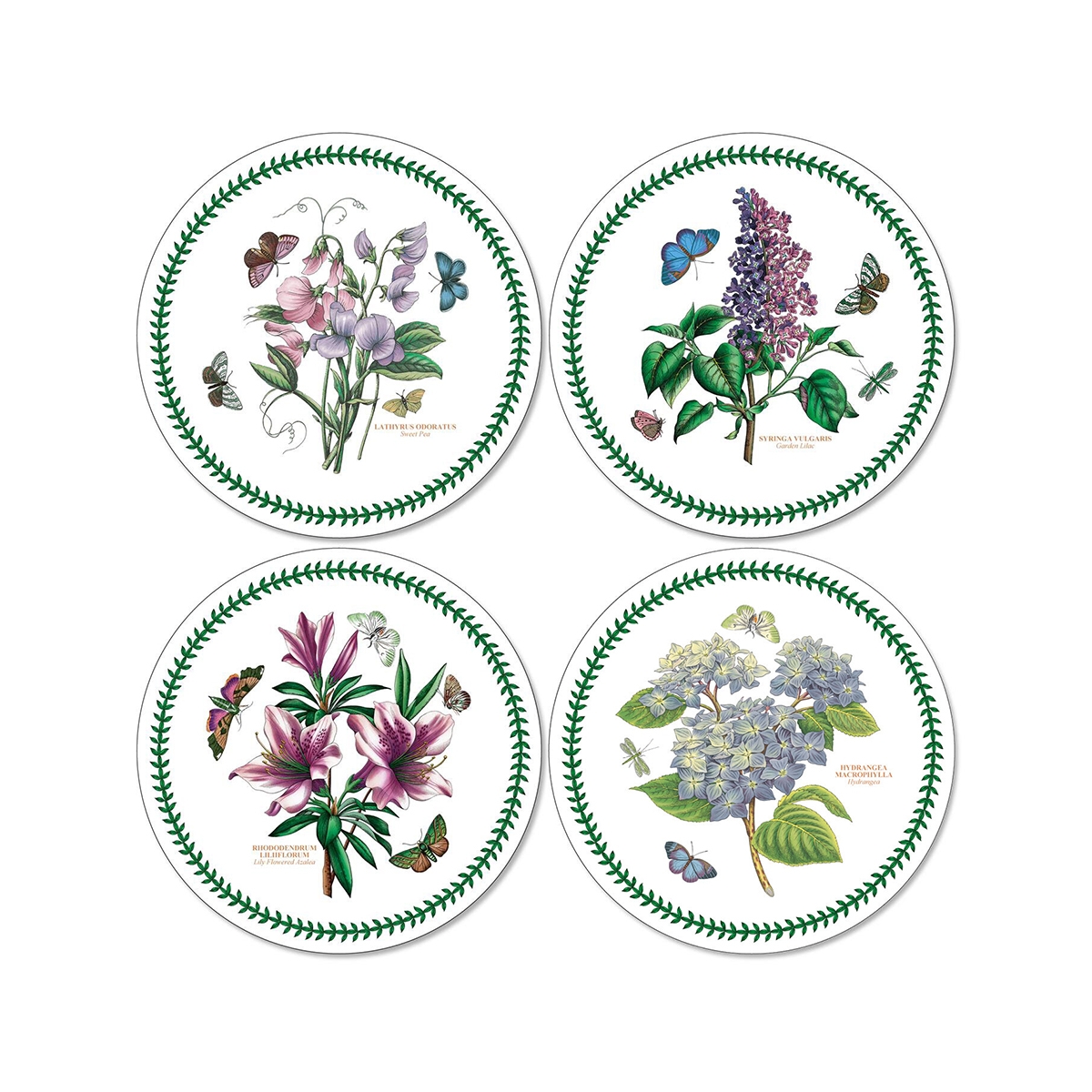 Ensemble de 4 dessous de table ronds Portmeirion Botanic Garden Promotion
