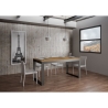 Uitschuifbare tafel 18 zitplaatsen industrieel design 90×180-440 Tecno Evolution Voorraad