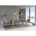 Console extensible design contemporain en bois 90x40-300 Naxy Offre