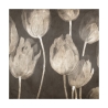 Moderne canvasafdruk tulpen Washed Tulips I Luca Villa Aanbod