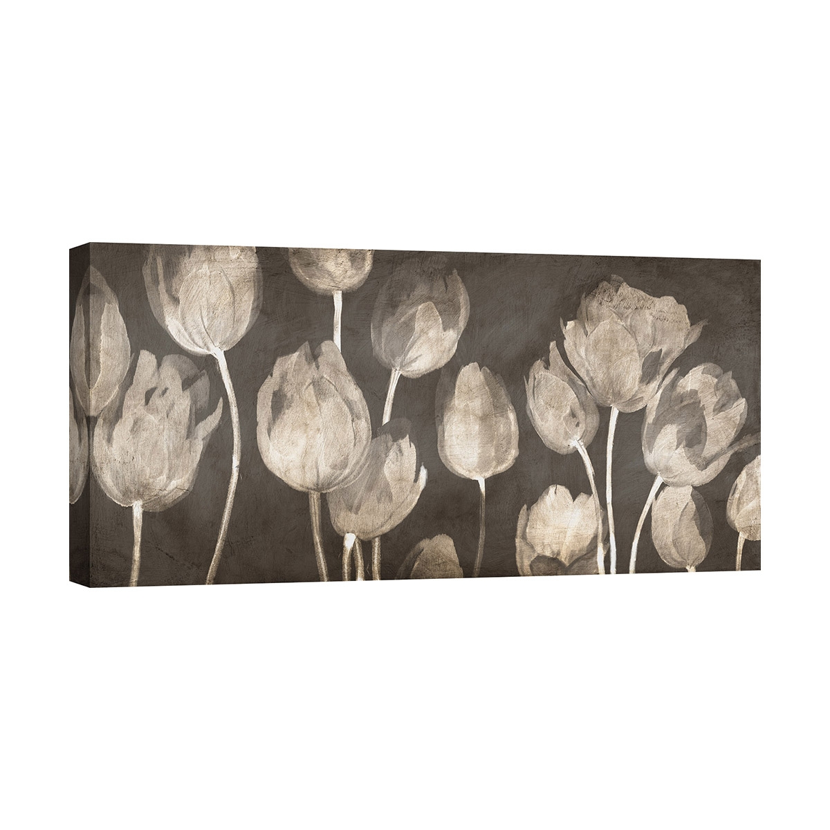 Moderne canvasprint tulpen schilderij Washed Tulips Luca Villa Aanbieding