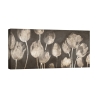 Tableau tulipes impression moderne sur toile Washed Tulips Luca Villa Promotion