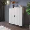 Moderne hoge kast 2 deuren voor woonkamer keuken Danielle Verkoop