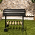 Barbecue charbon de bois avec grilles réglables en hauteur et roues Braska Offre