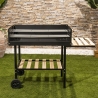 Barbecue charbon de bois avec grilles réglables en hauteur et roues Braska Offre