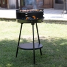 Houtskoolbarbecue met verstelbaar rooster rond Ø 38cm Grato Aanbod