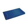 Tapis rafraîchissant moyen pour animaux 50x40cm Puppy Réductions