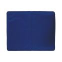 Tapis rafraîchissant moyen pour animaux 50x40cm Puppy Offre