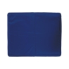 Tapis rafraîchissant moyen pour animaux 50x40cm Puppy Offre