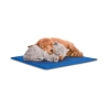 Tapis rafraîchissant moyen pour animaux 50x40cm Puppy Remises