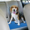 Tapis rafraîchissant moyen pour animaux 50x40cm Puppy Vente