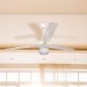 Ventilateur de plafond avec lumière 3 pales 5 vitesses Windy Vente