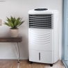 Rafraîchisseur portable 3en1 humidificateur purificateur d'air Triofresh Vente