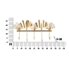 Metalen wandkapstok met 5 haken 26,3x49,5x6 cm Leaves Catalogus