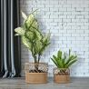 Set van 2 ronde plantenbakken van metaal en rattan Panama Verkoop