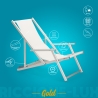 2 chaises de plage pliantes avec accoudoirs en aluminium Riccione Gold Lux 