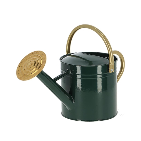 Arrosoir avec embout rond pour jardin et balcon Vert S Promotion