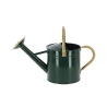 Arrosoir avec embout rond pour jardin et balcon Vert S Vente