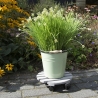 Ronde houten plantenroller met wielen Verkoop