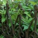 Bordure décorative en fonte pour parterre 38 cm Vente