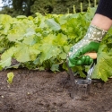 Foraterra bloembollenplanter roestvrij staal houten handvat Voorraad
