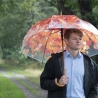 Parapluie effet arbre d'automne avec poignée en bois Vente