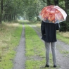 Parapluie effet arbre d'automne avec poignée en bois Réductions
