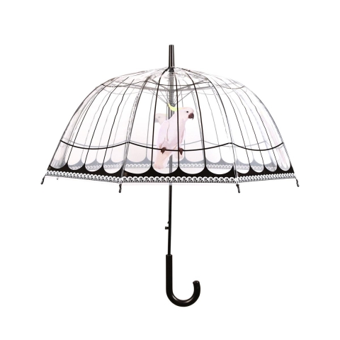 Parapluie transparent en dôme décoratif avec perroquet Promotion