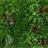 Kunsthaag 3D paneel 100x100 cm met realistische planten Cerrum Korting