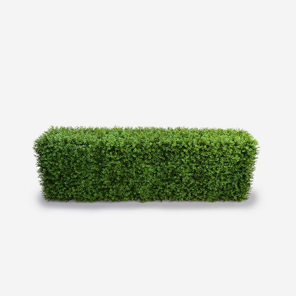 Kunstmatige buxushaag voor lage tuinschutting 158x33x56 cm Robuk Aanbieding
