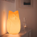Tafel Design Lamp in een Uil Ontwerp Slide BUPO Aankoop
