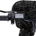 Elektrische Fiets E-Bike voor Dames met Mandje 250W RKS Shimano XT1 Catalogus