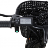Elektrische Fiets E-Bike voor Dames met Mandje 250W RKS Shimano XT1 Catalogus