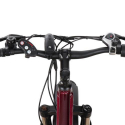 Elektrische Fiets E-Bikes Fatbike MTB 250W Shimano MT8 Voorraad