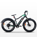 Elektrische Fiets E-Bikes Fatbike MTB 250W Shimano MT8 Korting