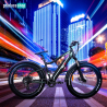 Elektrische Fiets E-Bikes Fatbike MTB 250W Shimano MT8 Aanbod