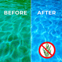 Algicide tegen algen Poolmaster 1 lt zwembadwaterbehandeling met dubbele werking Verkoop