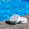 Tri-chloor Poolmaster 10 kg van 200 gr tabletten voor bovengrondse en ingegraven zwembaden Verkoop