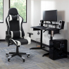 Ergonomische bureaustoel met kunstleren kussens SilverStone Verkoop
