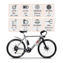 Elektrische fiets e-bike stadsfiets voor heren 250W Shimano W6 Model