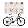 Elektrische fiets e-bike stadsfiets voor heren 250W Shimano W6 Model