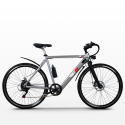 Elektrische fiets e-bike stadsfiets voor heren 250W Shimano W6 Karakteristieken