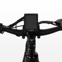 Elektrische fiets e-bike stadsfiets voor heren 250W Shimano W6 Prijs