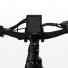 Elektrische fiets e-bike stadsfiets voor heren 250W Shimano W6 Prijs